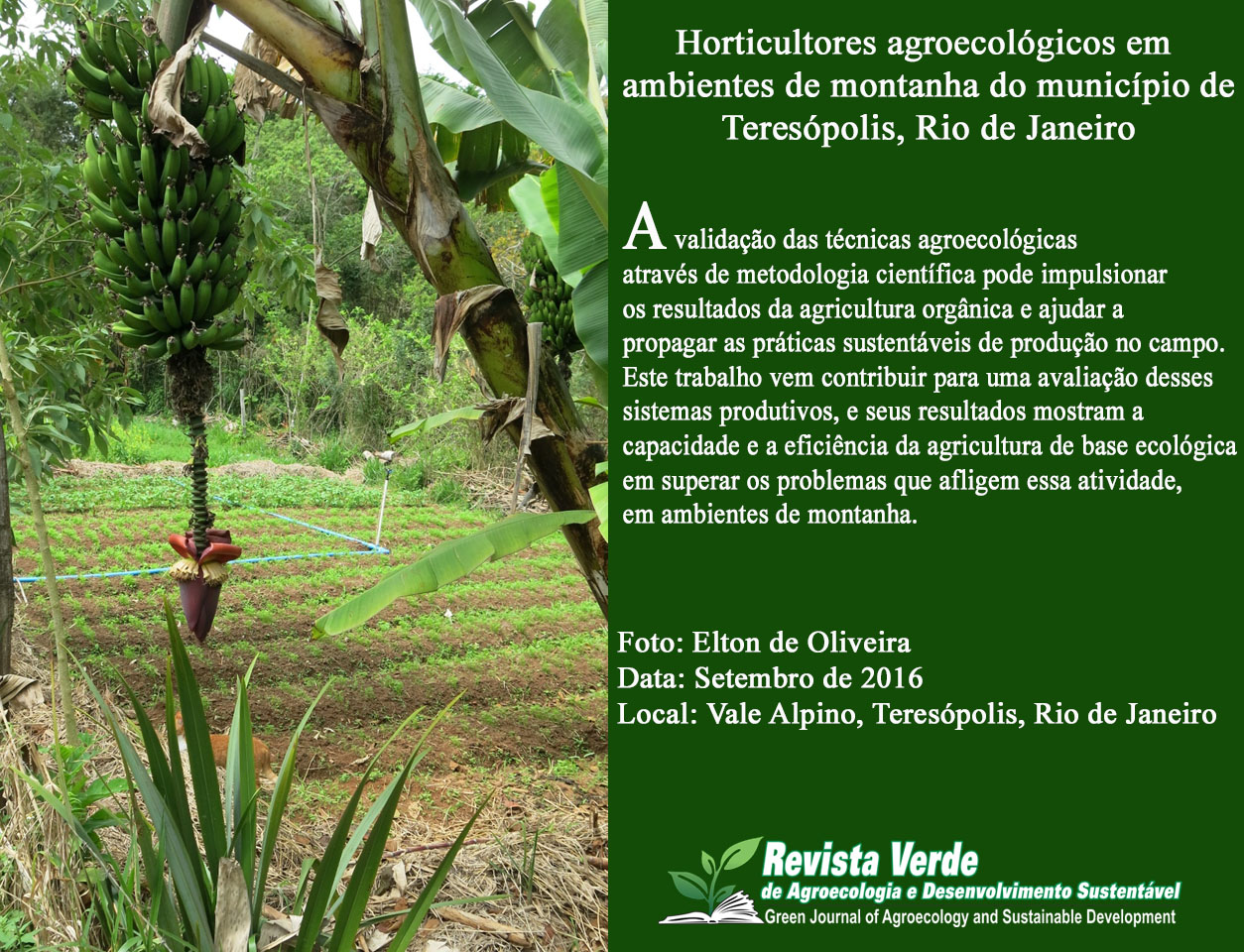 Horticultores agroecológicos em ambientes de montanha do município de Teresópolis, Rio de Janeiro