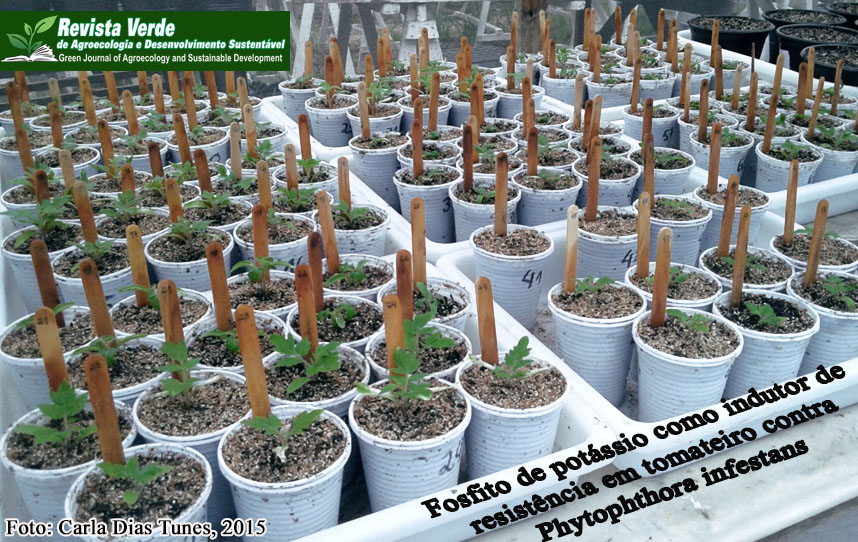 Fosfito de potássio como indutor de resistência em mutantes de tomateiro contra Phytophthora infestans