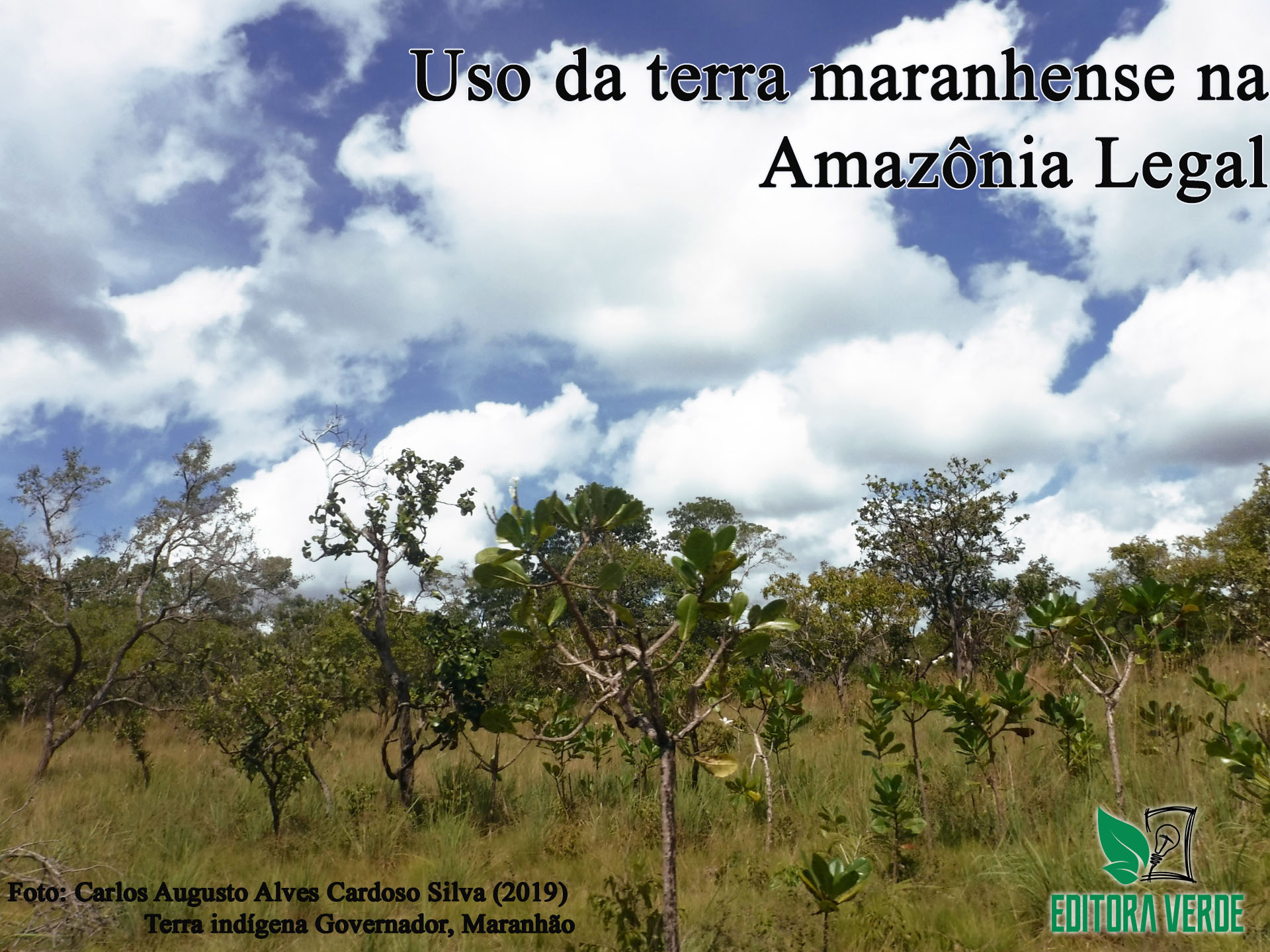 Análise da dinâmica no uso da terra maranhense na Amazônia Legal