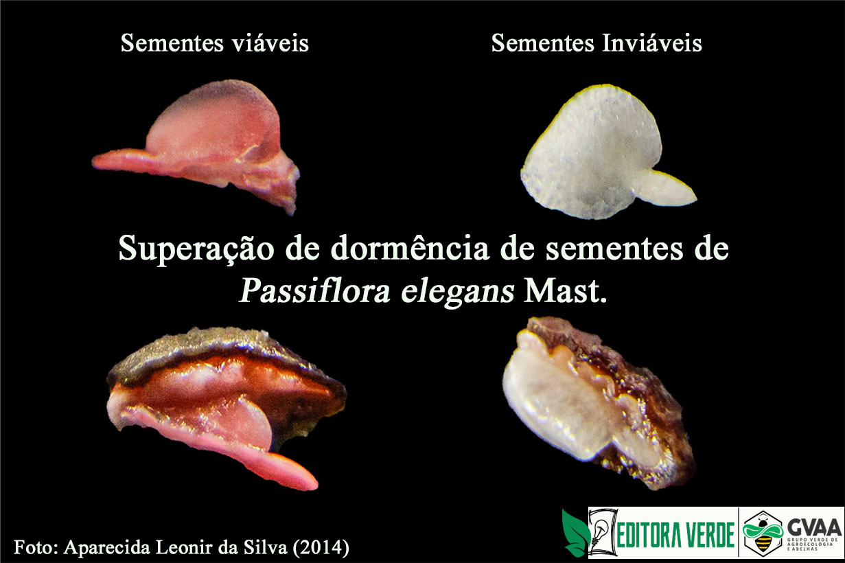 Superação da dormência de sementes de Passiflora elegans Mast. (Passifloraceae)