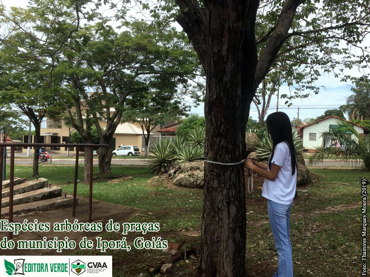 Levantamento florístico e fitossociológico do componente arbóreo de praças públicas do município de Iporá, Goiás