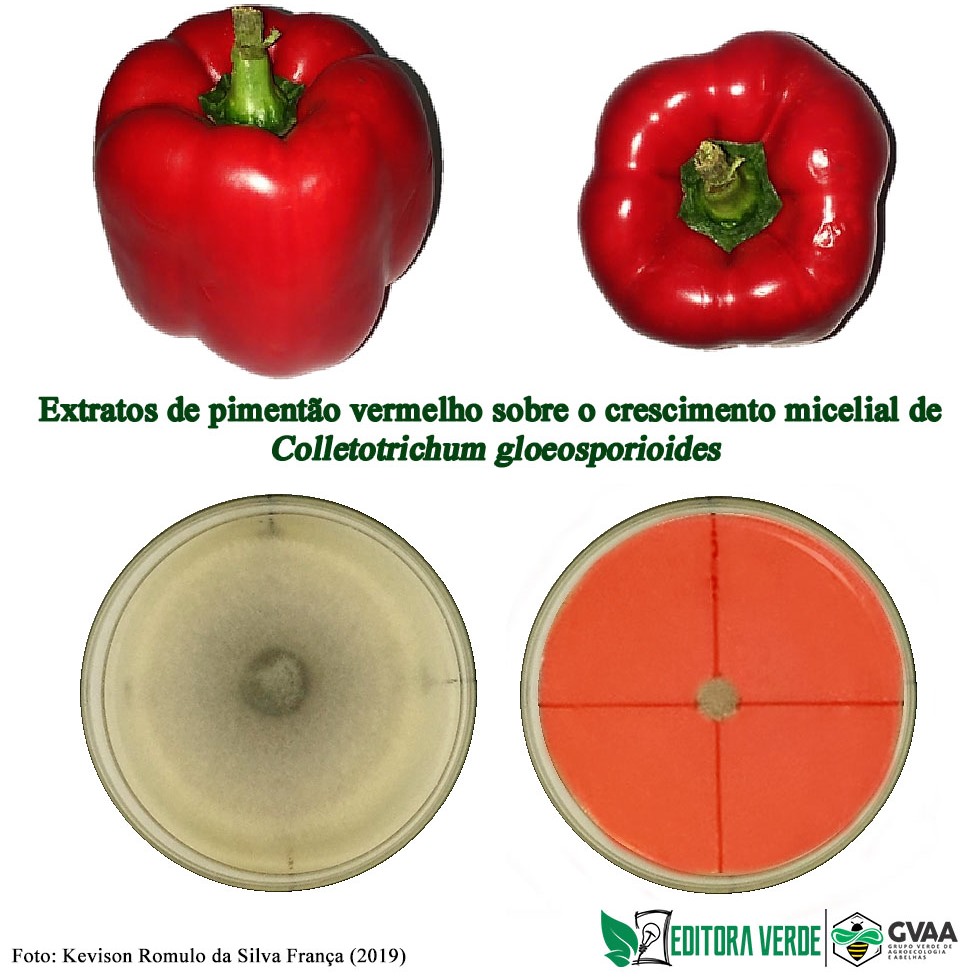Extratos de pimentão vermelho (Capsicum annuum) sobre Colletotrichum gloeosporioides in vitro