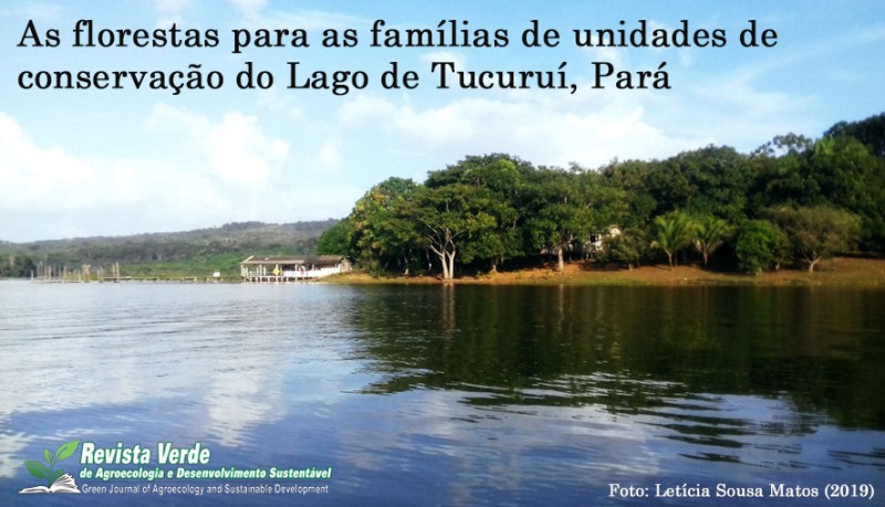 As florestas no meio de vida das famílias do Mosaico de unidades de conservação do Lago de Tucuruí, Pará