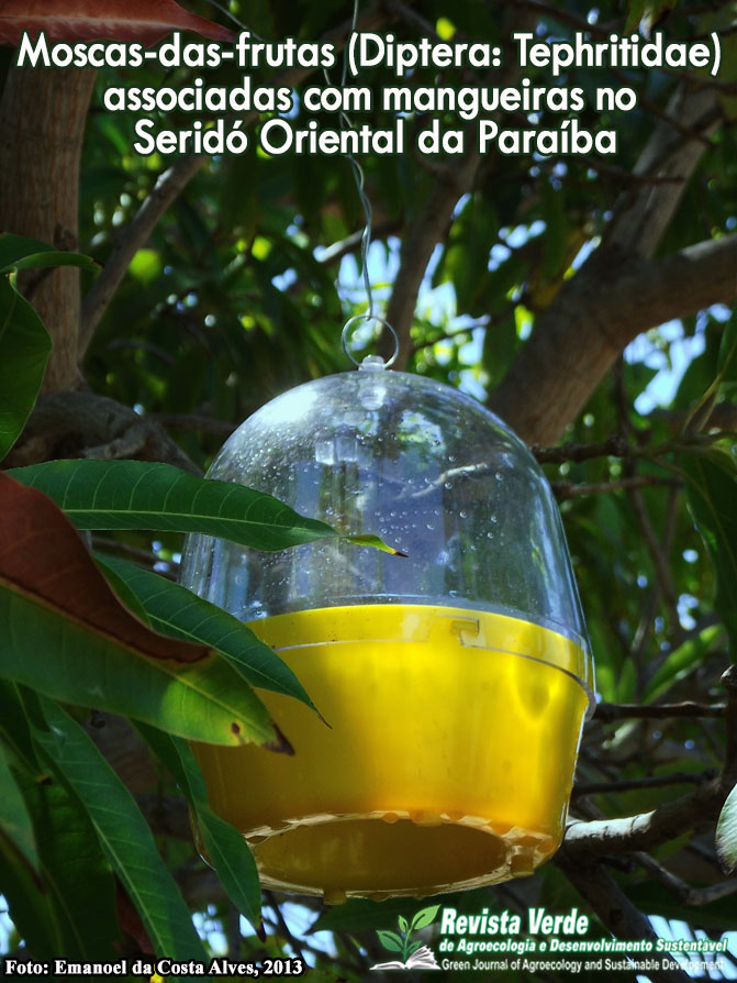 Moscas-das-frutas (Diptera: Tephritidae) associadas com mangueiras no Seridó Oriental da Paraíba