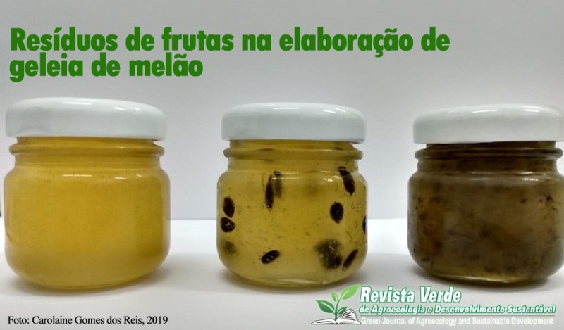 Resíduos de frutas na elaboração de geleia de melão Pele de Sapo