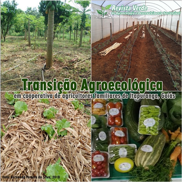 Transição agroecológica em cooperativa de agricultores familiares de Itapuranga, Goiás