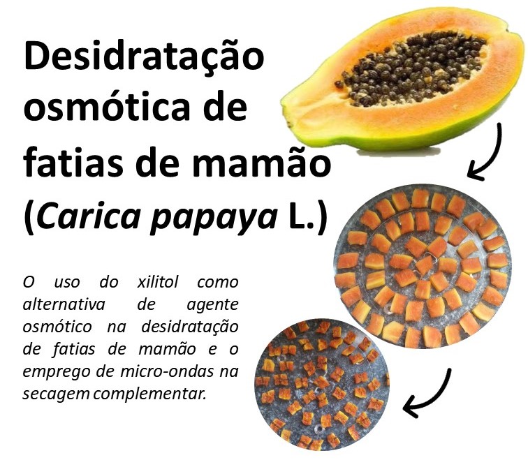 Desidratação osmótica de fatias de mamão (Carica papaya L.)