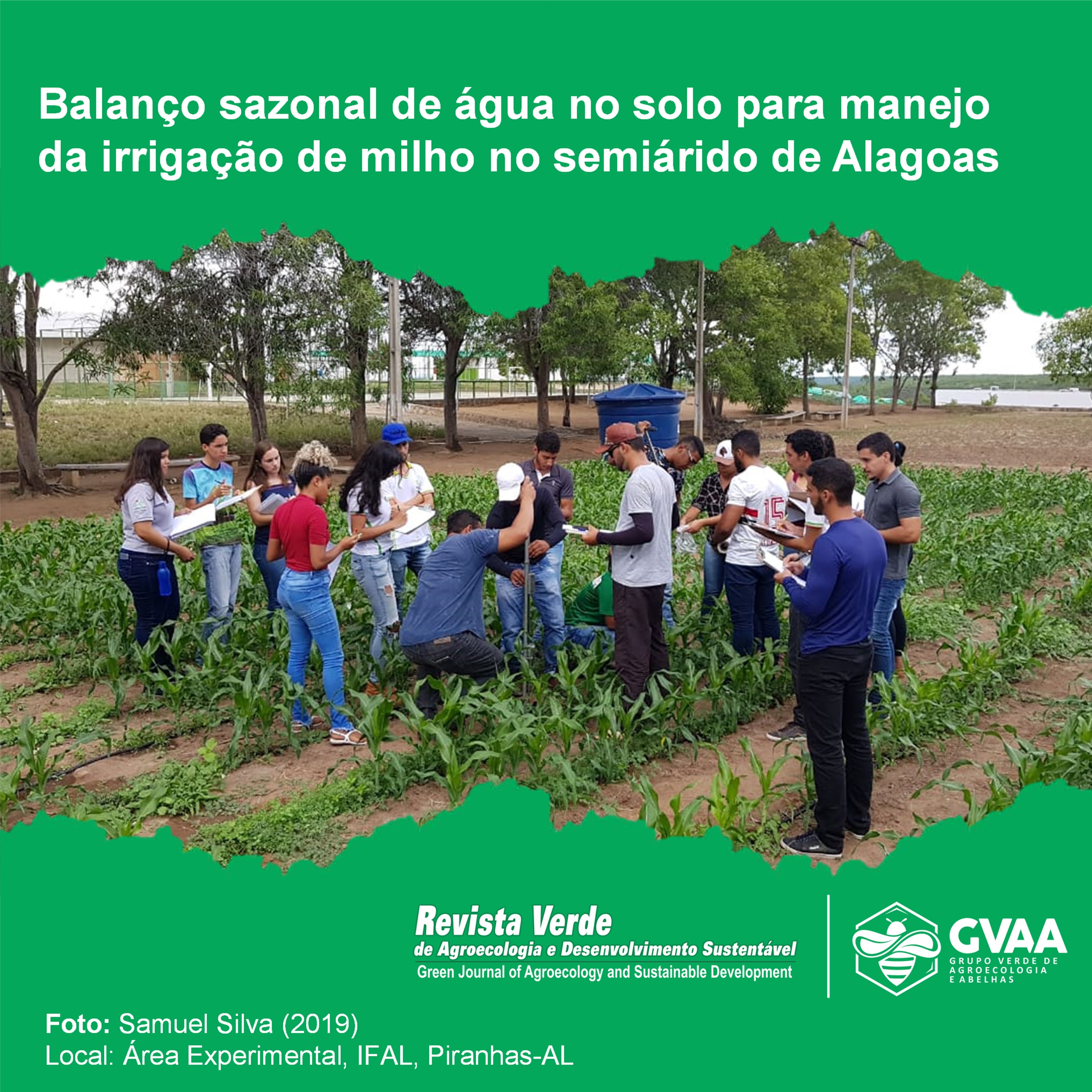 Balanço sazonal de água no solo para manejo da irrigação de milho no semiárido de Alagoas