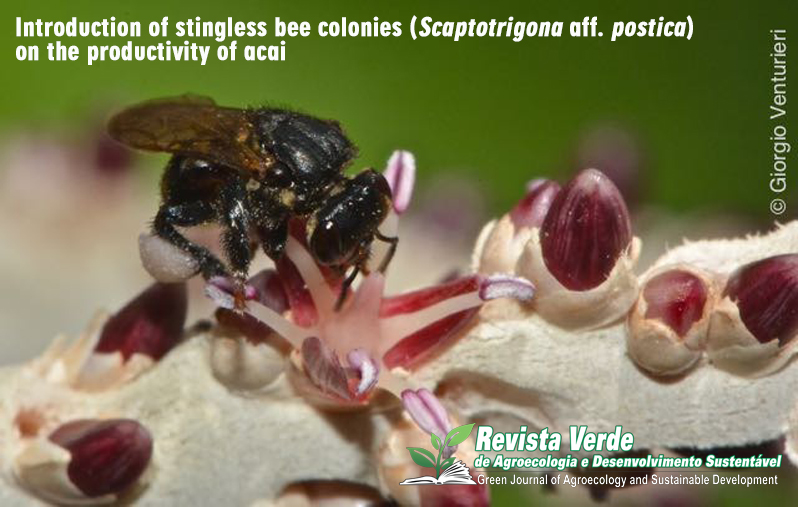 Impact of the introduction of stingless bee colonies (Scaptotrigona aff. postica) on the productivity of acai (Euterpe oleracea)