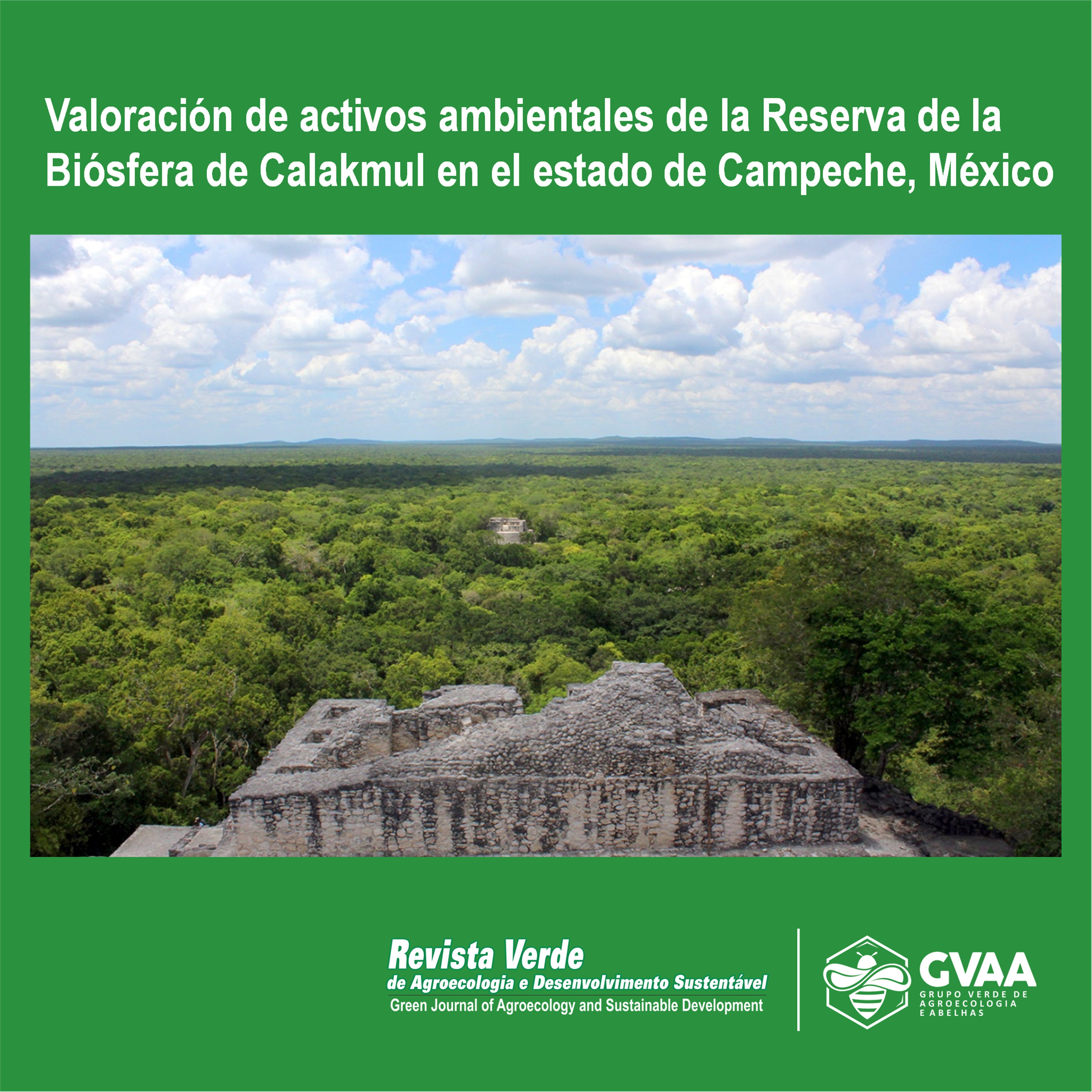 Estimación de valor económico de la Reserva de la Biosfera Calakmul, Campeche, México