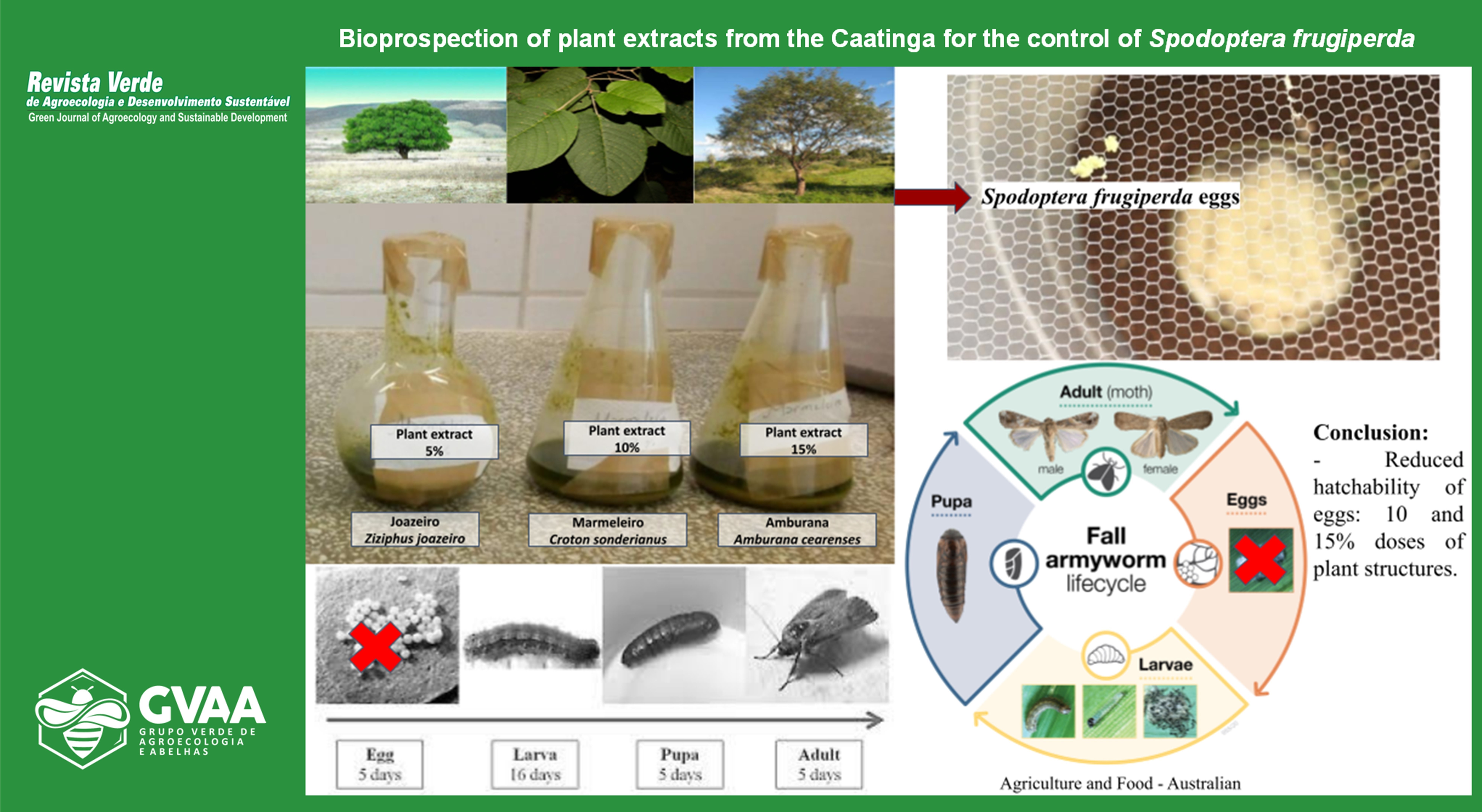 Bioprospection of plant extracts from the Caatinga for the control of Spodoptera frugiperda