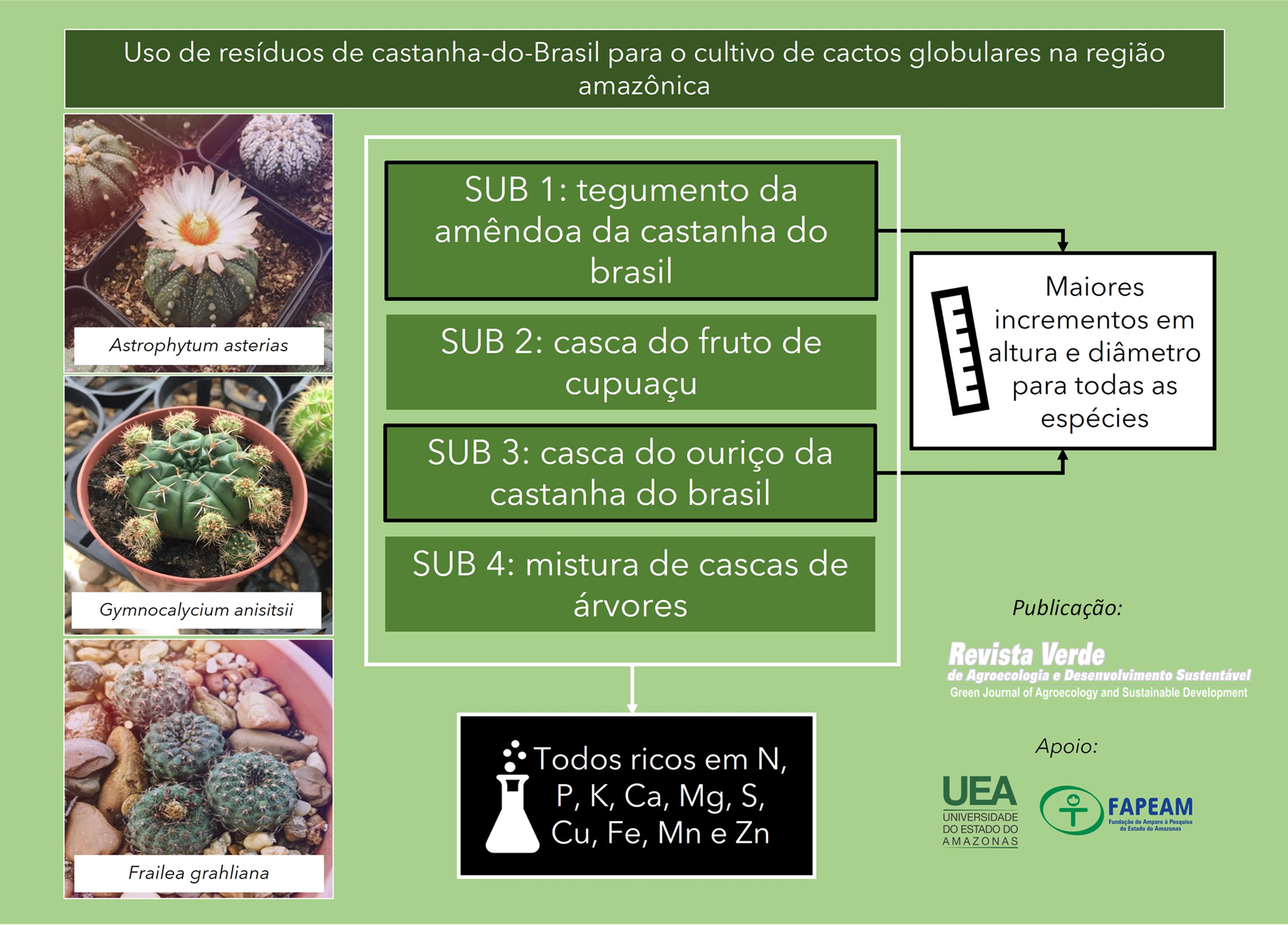 Uso de resíduos de castanha-do-Brasil para o cultivo de cactos globulares na região Amazônica