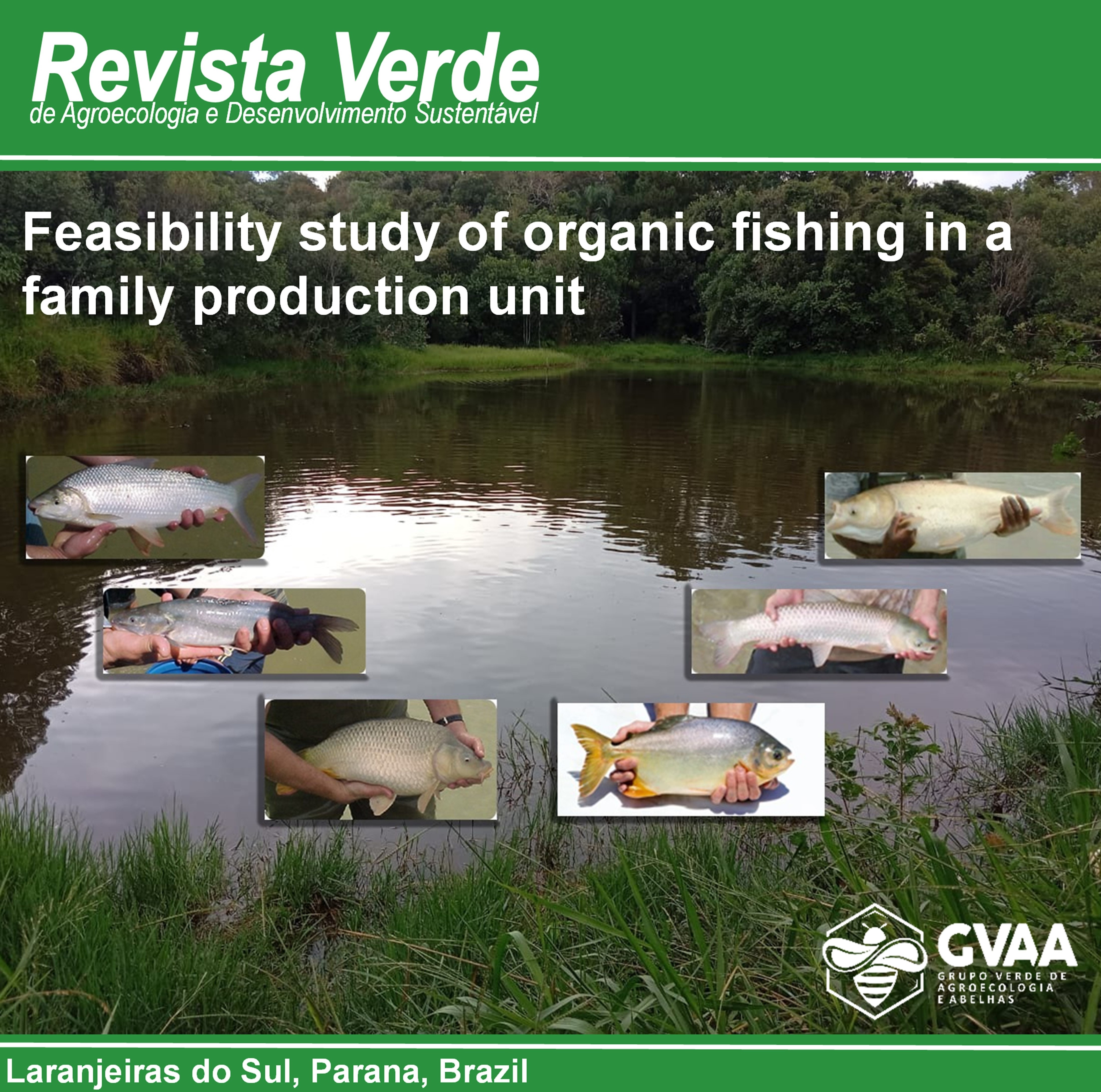 Feasibility study of organic fishing in a family production unit in Laranjeiras do Sul, Parana, Brazil