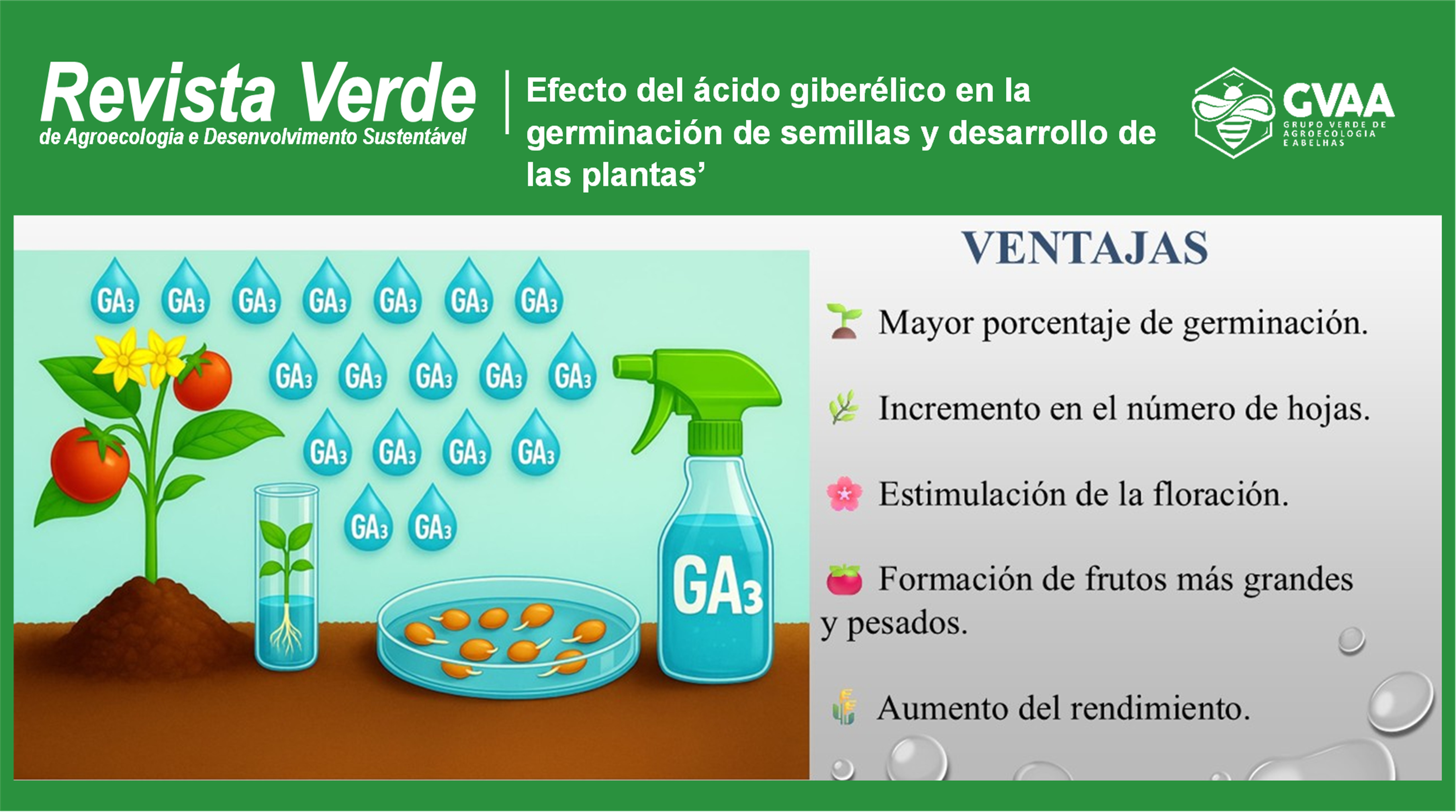 Efecto del ácido giberélico en la germinación de semillas y desarrollo de las plantas