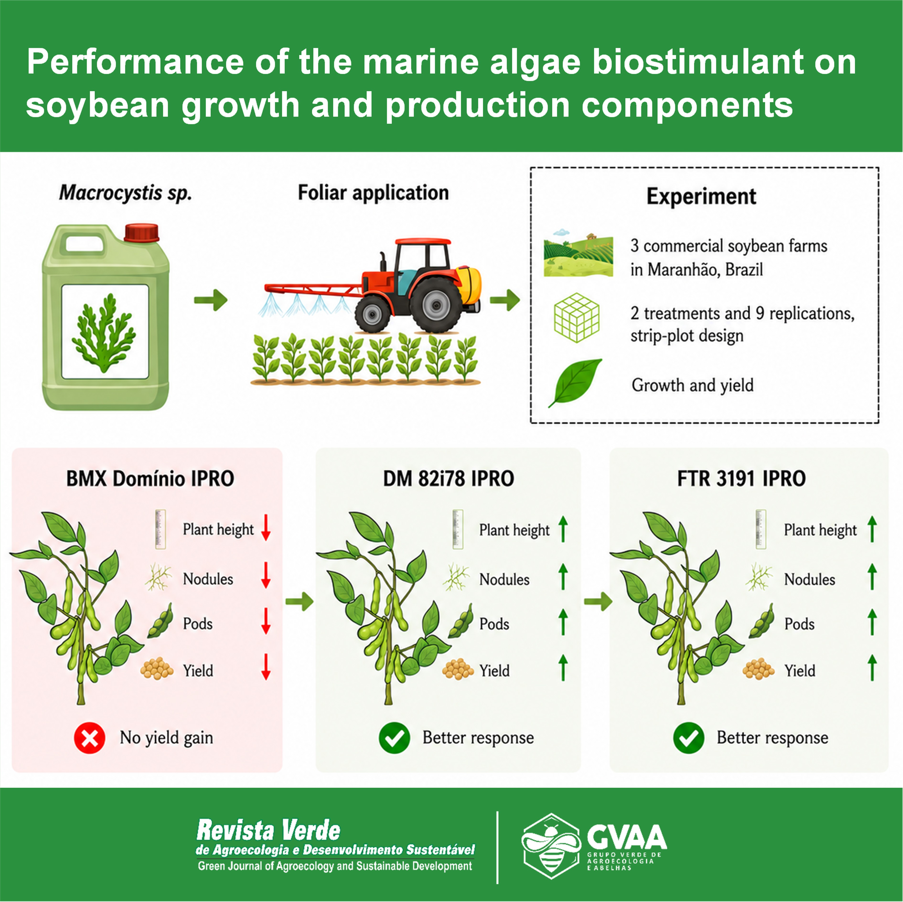 Performance of the marine algae biostimulant Macrocystis sp. on soybean growth and production components