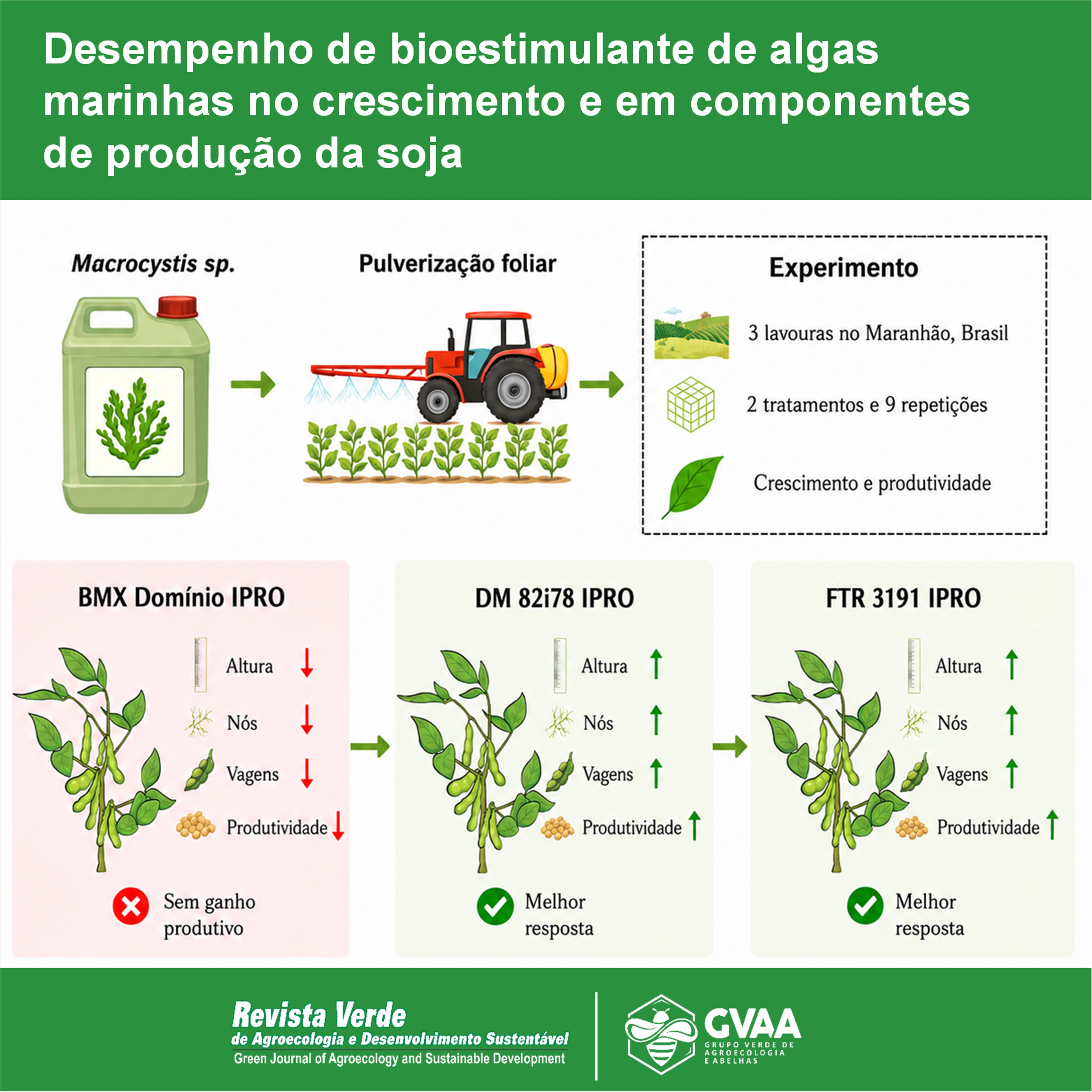 Desempenho de bioestimulante de algas marinhas Macrocystis sp. no crescimento e em componentes de produção da soja