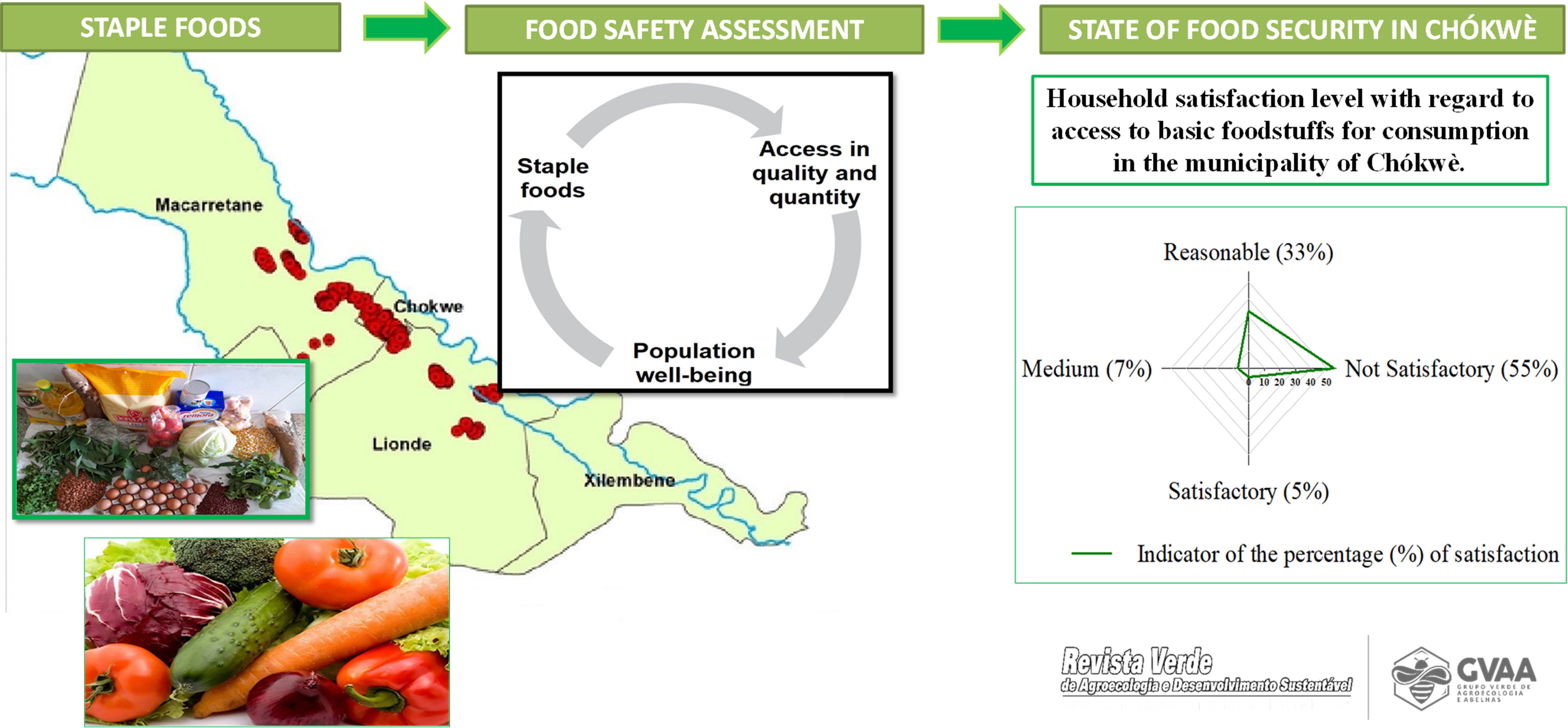 Sustainability and food and nutrition security
