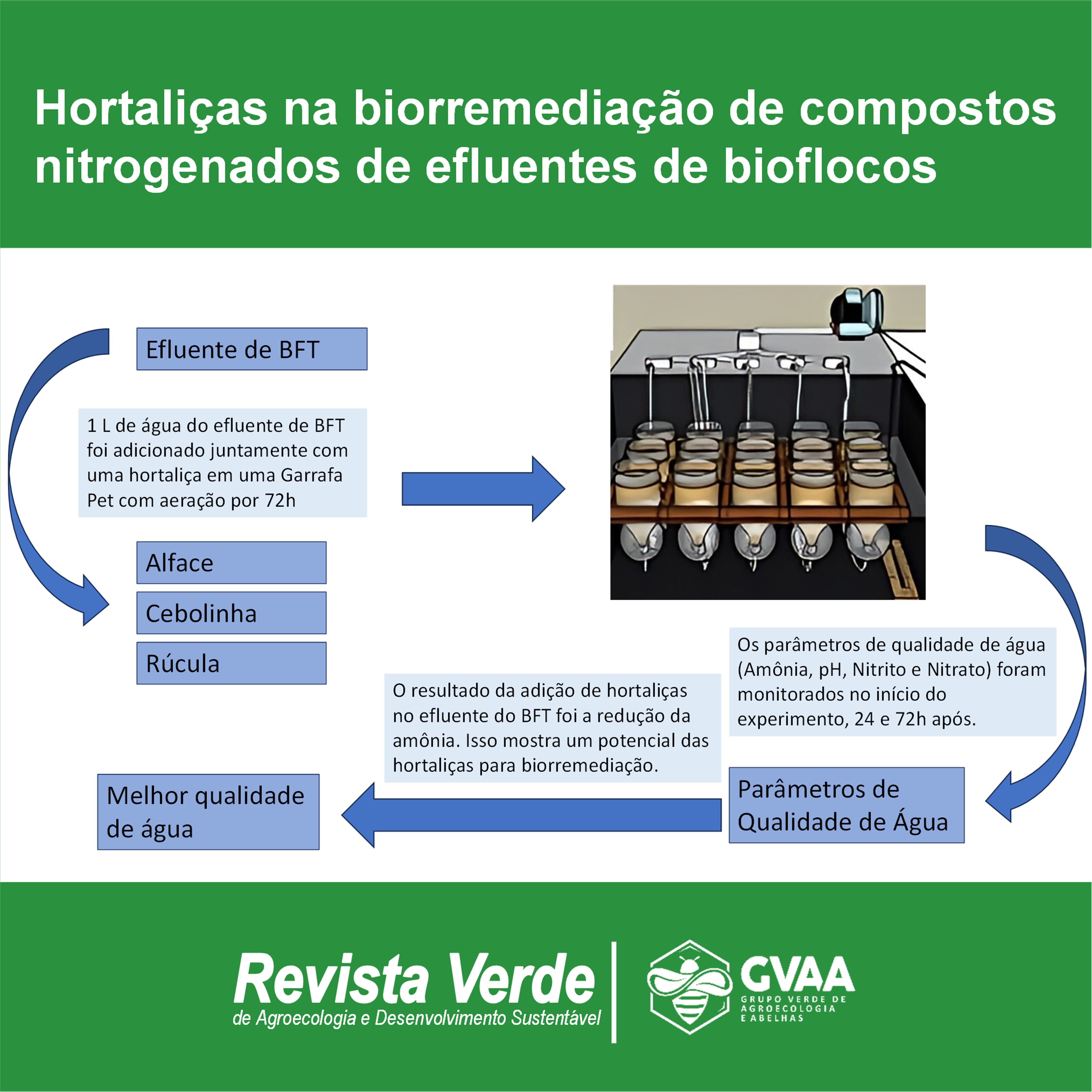 Hortaliças na biorremediação de compostos nitrogenados de efluentes de bioflocos