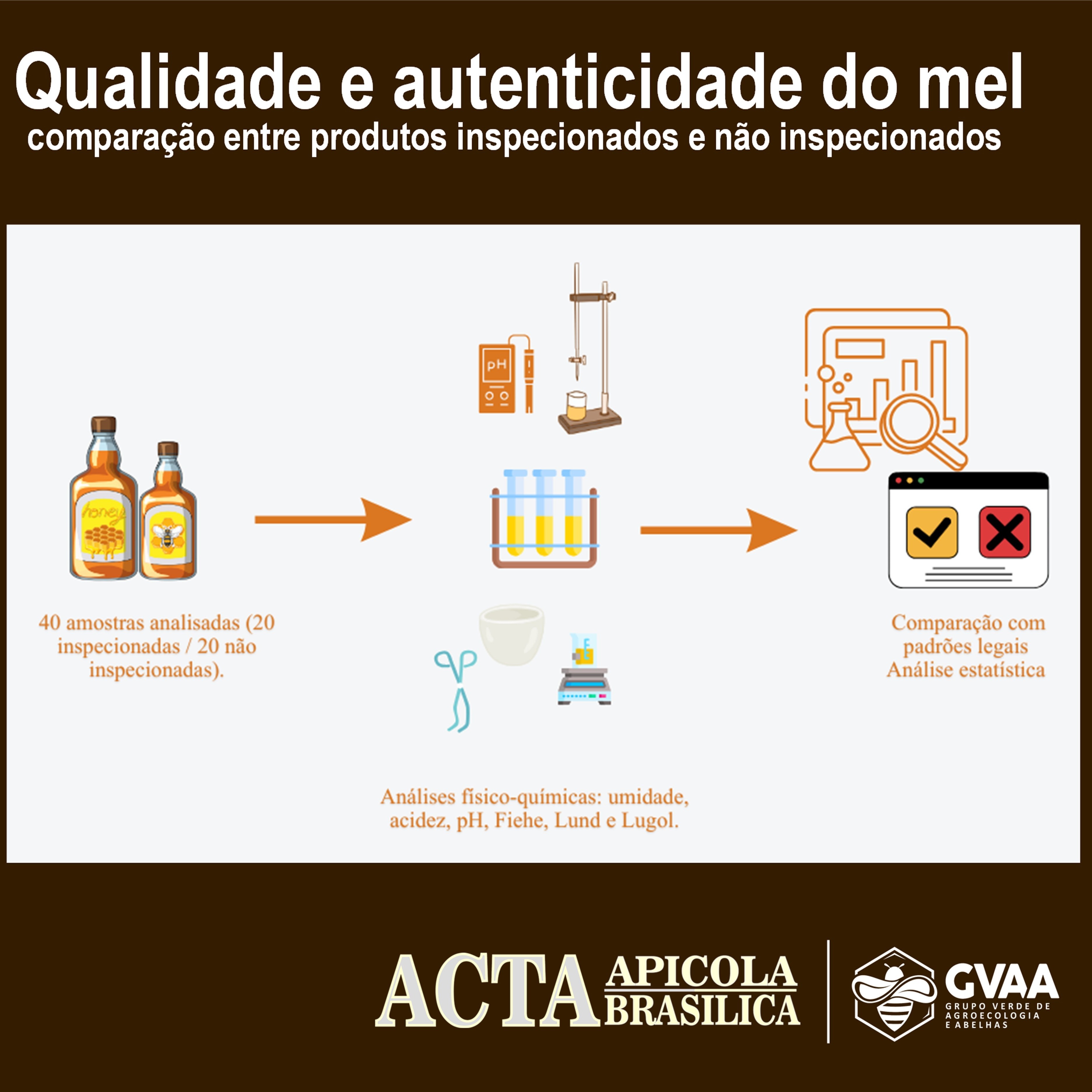 Qualidade e autenticidade do mel: comparação entre produtos inspecionados e não inspecionados