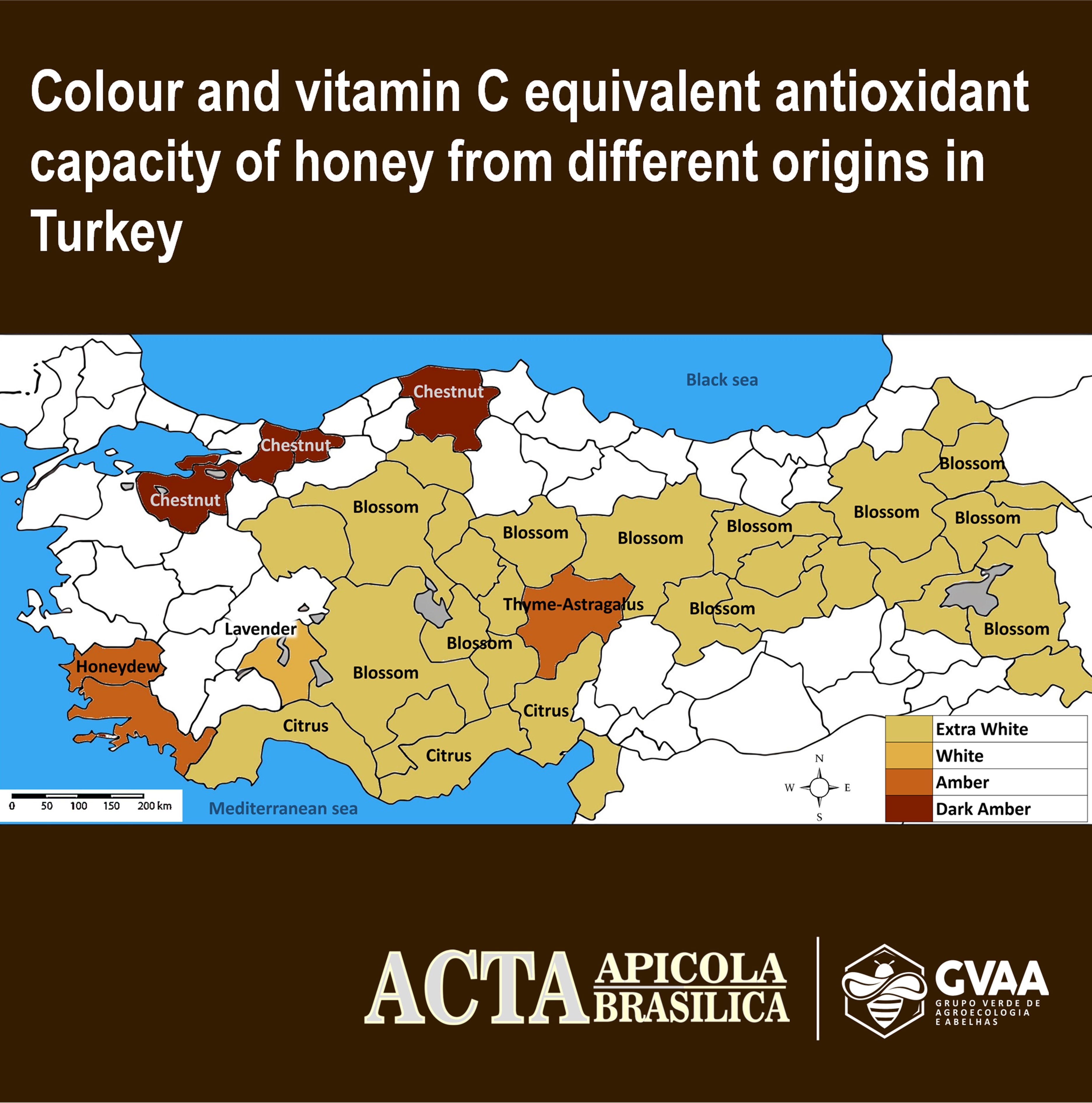 Colour and vitamin C equivalent antioxidant capacity of honey from different origins in Turkey