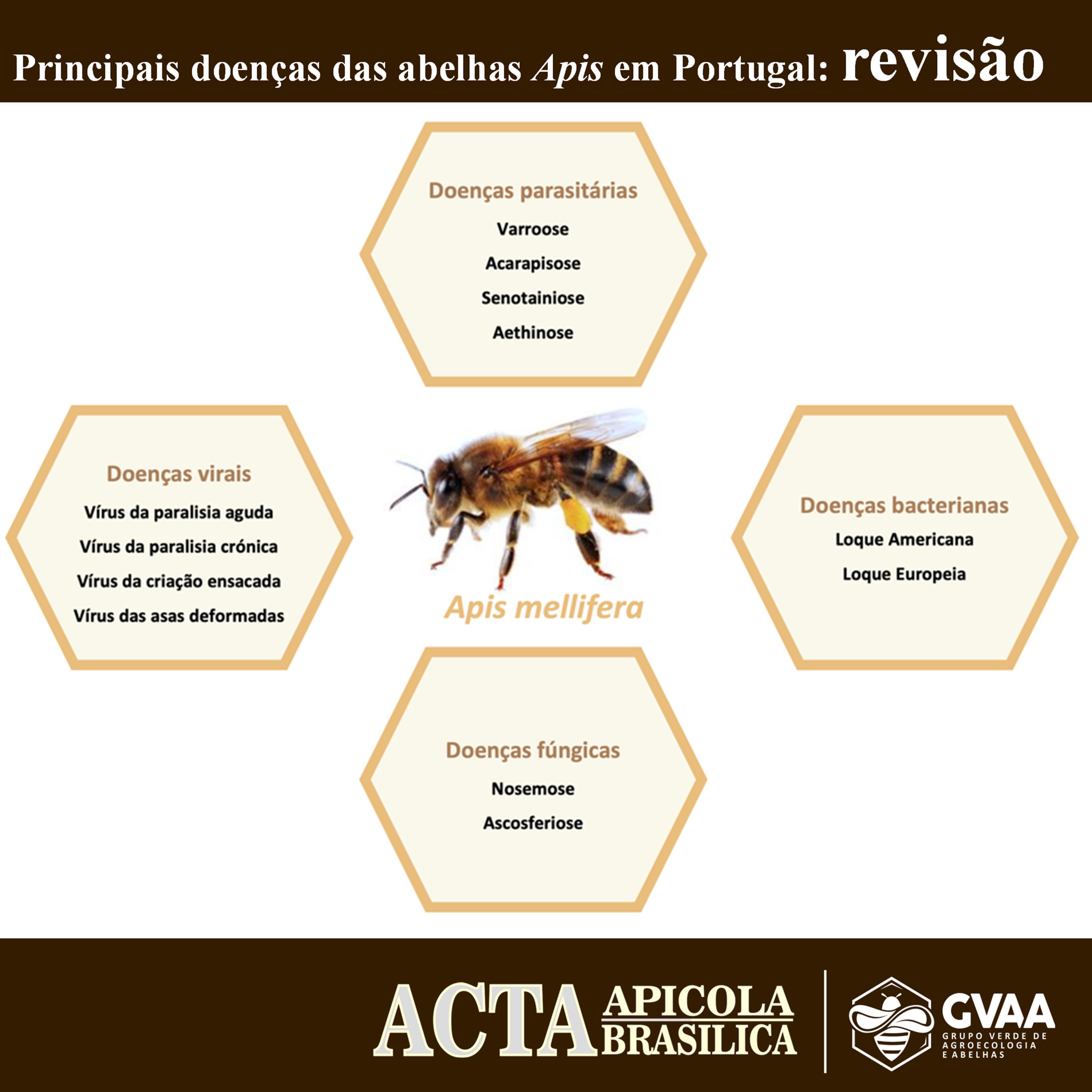 Principais doenças das abelhas Apis em Portugal